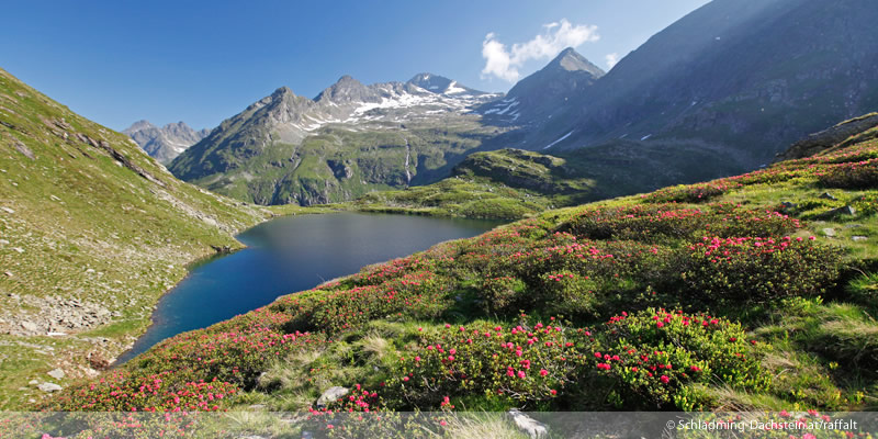 Sommerurlaub in der Region Schladming Dachstein